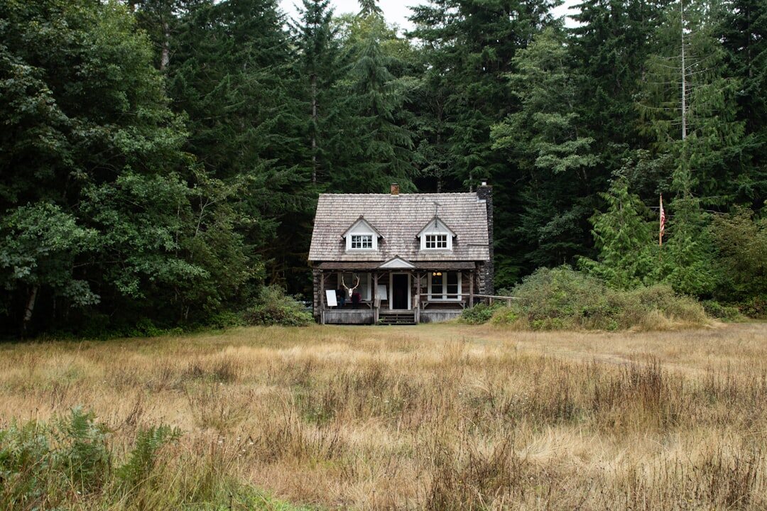 isolated cabin in woods