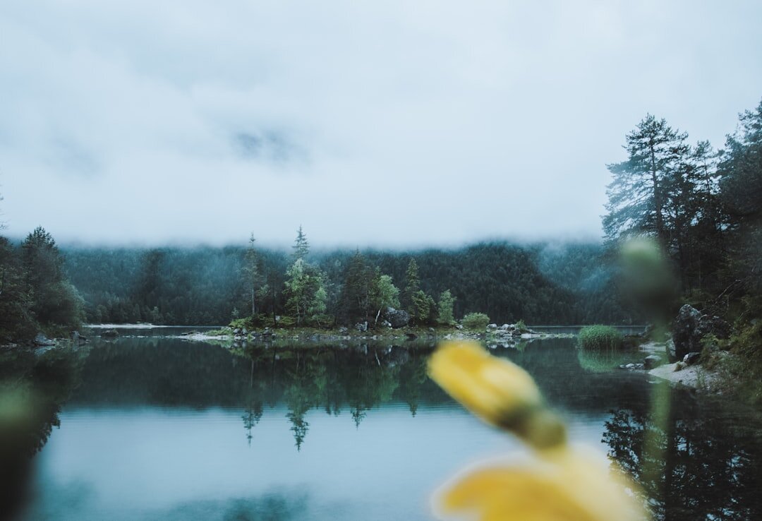 foggy mountain lake