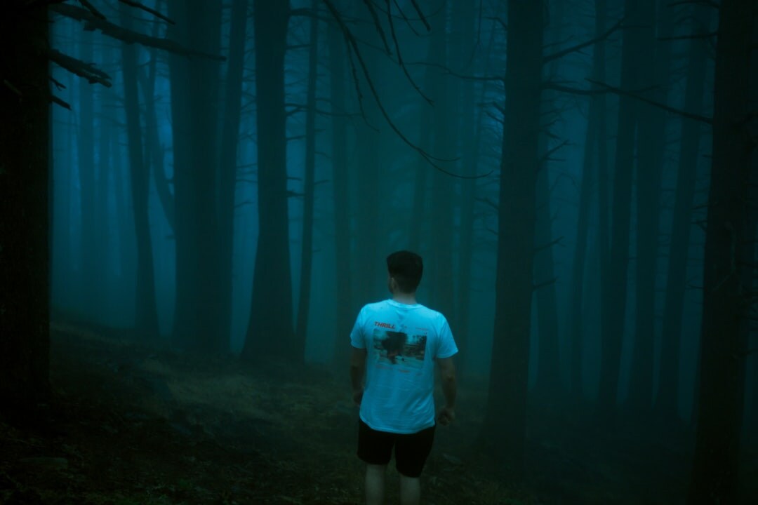 foggy path in woods